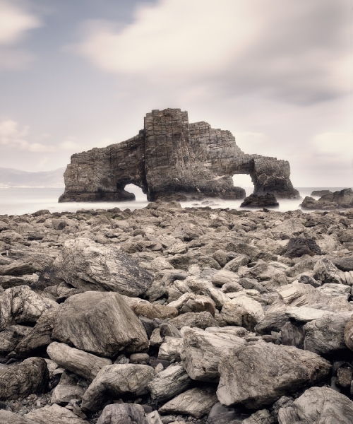 Photograph Daniel Vine Garcia Dinosaurus on One Eyeland